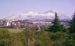 View from the kitchen window
