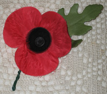 Poppy